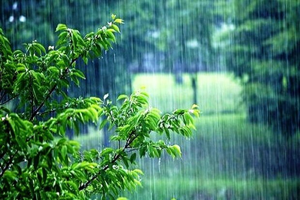 رگبار باران در نوار شمالی و جنوب‌شرق کشور