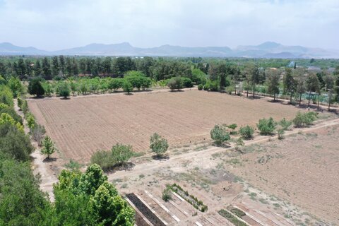 احیای نهالستان جبل عاملیان فلاورجان با حمایت فولاد مبارکه نهالستان جبل عاملیان فلاورجان