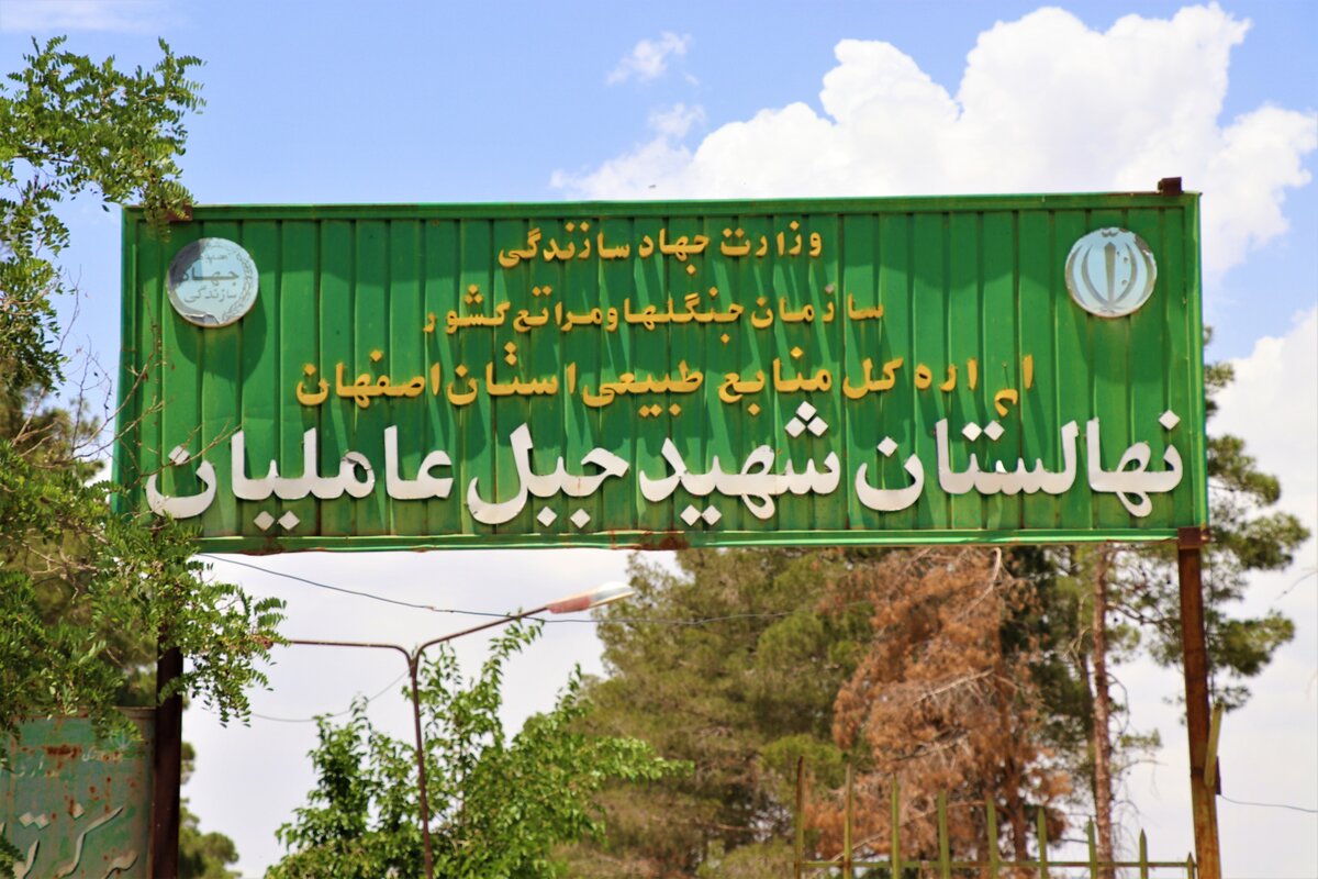 احیای نهالستان جبل عاملیان فلاورجان با حمایت فولاد مبارکه