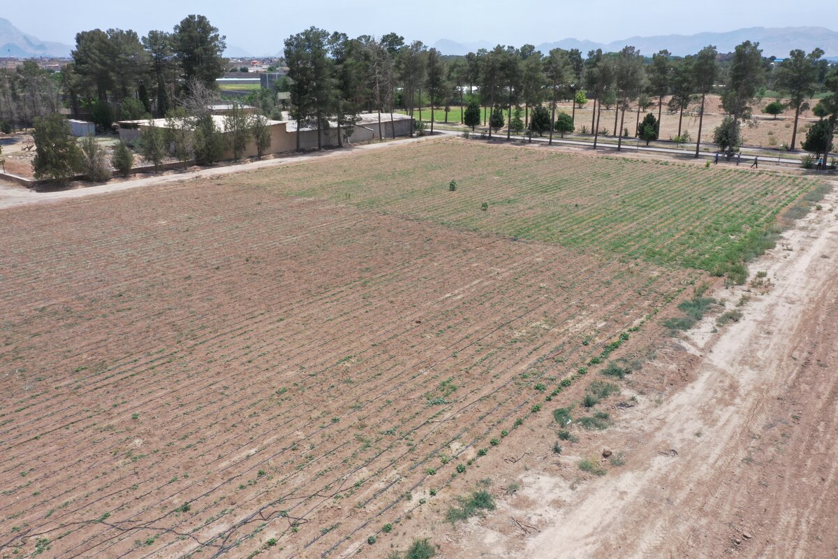 احیای نهالستان جبل عاملیان فلاورجان با حمایت فولاد مبارکه