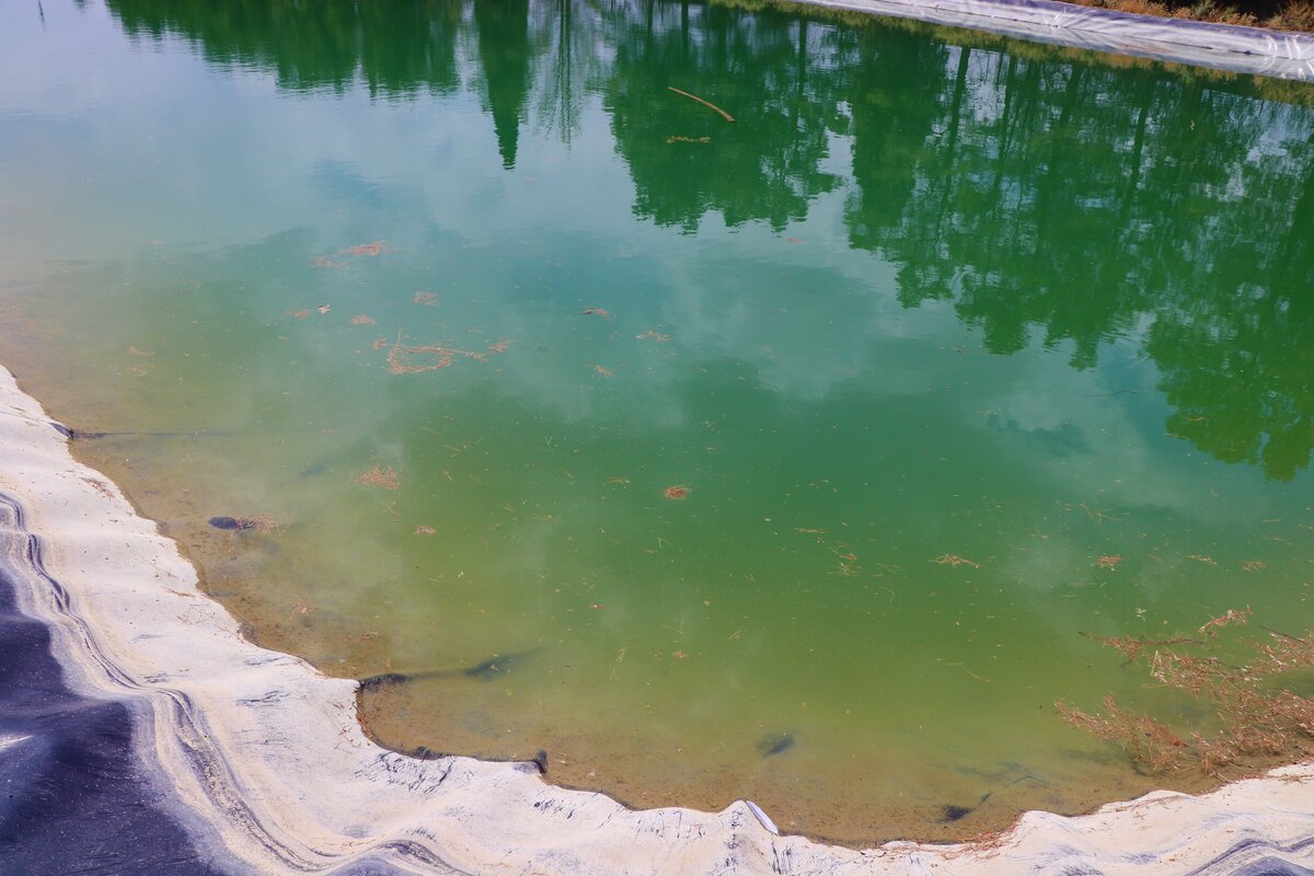 احیای نهالستان جبل عاملیان فلاورجان با حمایت فولاد مبارکه