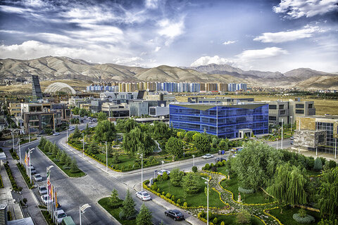 دانش بنیان