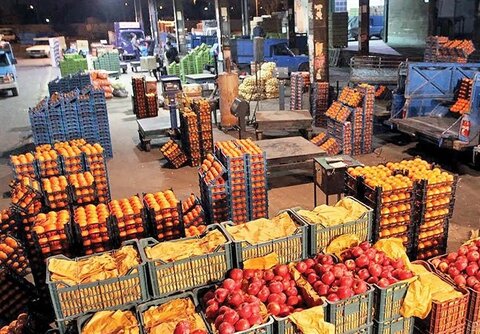 میوه‌های تابستانی به بازار میوه‌فروشی‌های ...