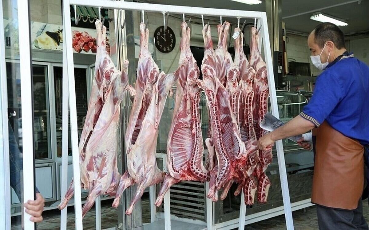 بازگشت ثبات به بازار گوشت قرمز در تابستان ۱۴۰۴