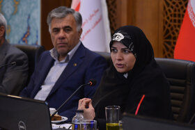 بیستمین جلسه کمیسیون معادن و صنایع معدنی
