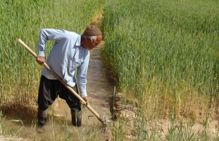 الگوی کهنه، هدررفت آب