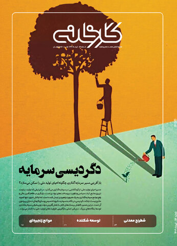 دگردیسی سرمایه دگردیسی سرمایه