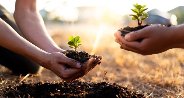 «هارمونی»؛ ائتلاف برای نجات حرا