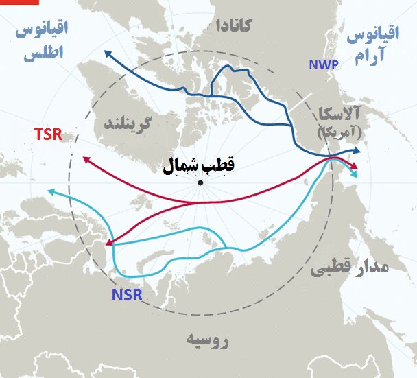 تراژدی خرس‌ها