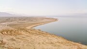 بازیگر جدید طلای سفید را بشناسید