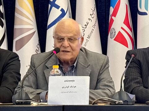 گودرزی