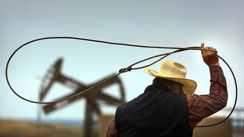 بندبازی زیستمحیطی عکس