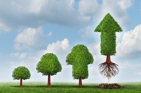 اکوسیستم متزلزل عکس