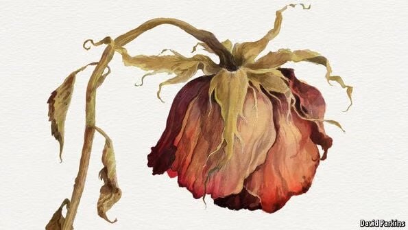 چرا شکست می‌خوریم؟