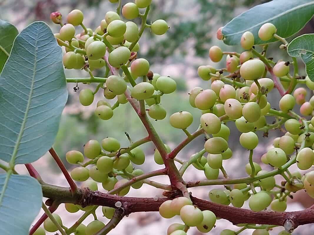 حلقه مفقوده مدیریت منابع آبی