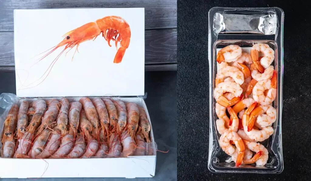 ردپای سزیم رادیواکتیو از کارخانه فولاد تا بسته‌بندی میگو