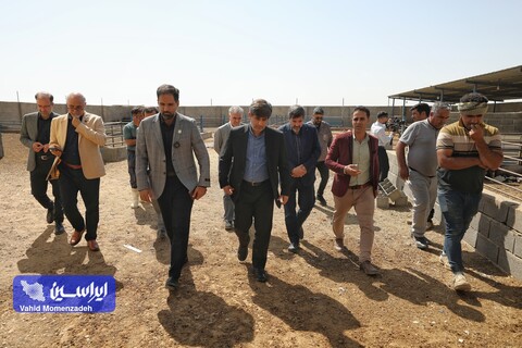 کیمیاگری حیات در اقلیم تشنه