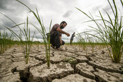 فشار اقلیم بر منابع حیاتی ایران