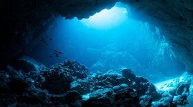 انقلاب کربن در عمق زمین