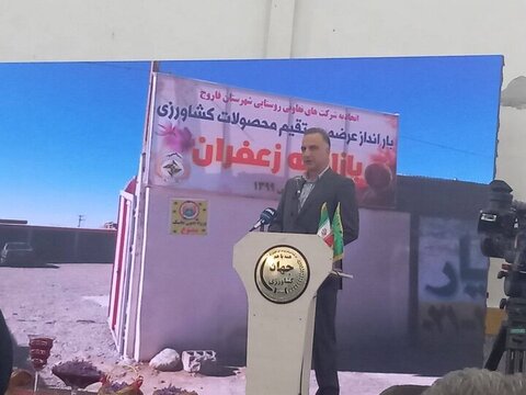 معاون امور زراعت وزارت جهاد کشاورزی