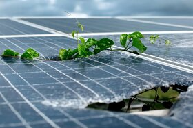 اروپا چرخه پنل‌های خورشیدی را تکمیل کرد