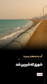 شوری که شیرین شد