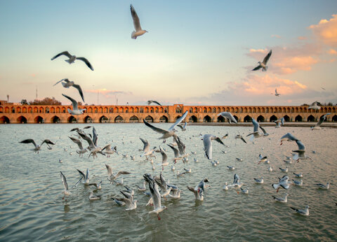 The Cessation of Flow in the Zayandeh Rud: A Crisis in the Heart of Iran