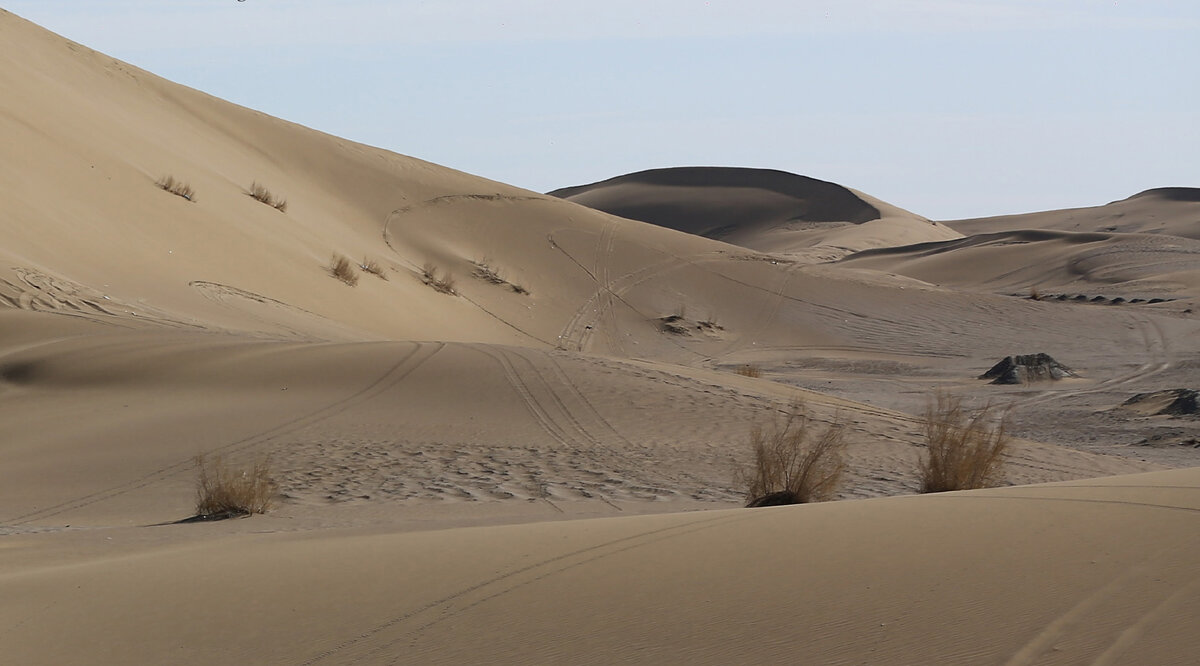 Varzaneh Desert: Where Silence Meets Adrenaline