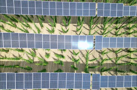 نوسانات سنگین در بازار انرژی پاک قاره سبز