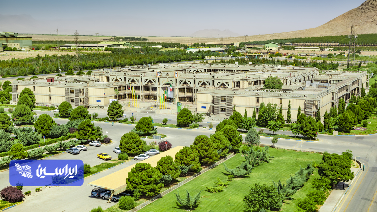 سازمان متعالی در میدان عمل