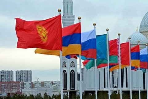 Synergy among bodies necessary to implement FTA with EAEU: TPO head
