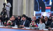 همتی خواستار کریدور مالی اختصاصی بریکس شد