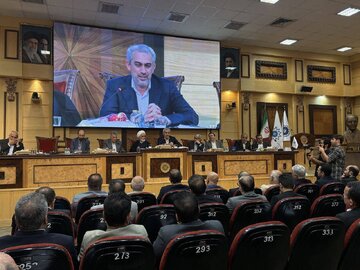 تعدد قوانین، سردرگمی فعالیت اقتصادی