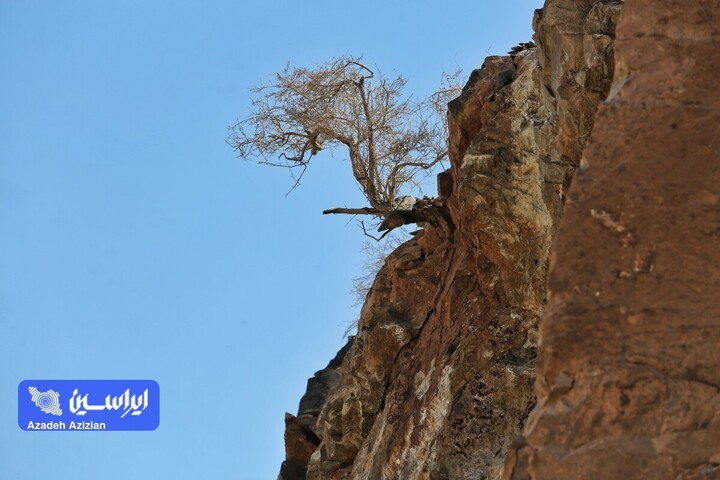 عملیات اکتشاف در پهنه چغندری اردستان