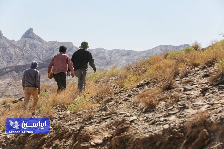 عملیات اکتشاف در پهنه چغندری اردستان