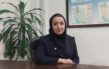 از پایداری شبکه تا فرصت سرمایه‌گذاری