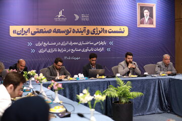 واگرایی سیاست‌گذار و صنعت‌گر
