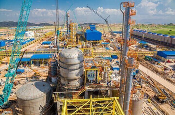 Using petrochemical capacities to strengthen national economy required